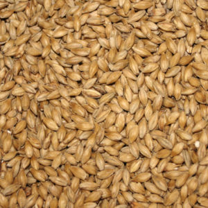 Malt, one of the ingredients stipulated in the Reinheitsgebot