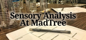 Sensory Analysis At MadTree