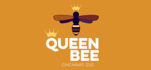 Mt. Carmel and The Zoo Collaborate On Queen Bee