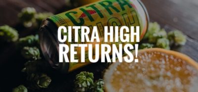 MadTree’s Citra High Is Making A Triumphant Return!