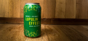 MadTree/Fat Head's Lupulin Effect - Beer Tasting Notes