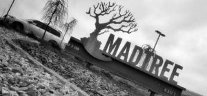 MadTree Teams Up With Local Biersdorfer Orchard To Offer New Hard Cider