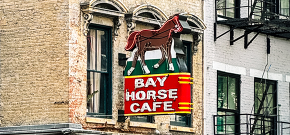 The Bay Horse Cafe - I'm Not Afraid Anymore.