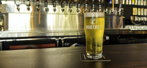 Fonio? What In The World Is This, Now? What Are You Up To, MadTree?